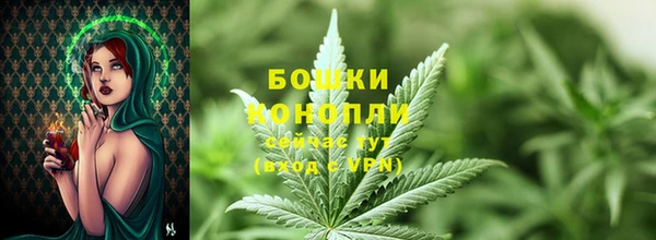 mdpv Богородск
