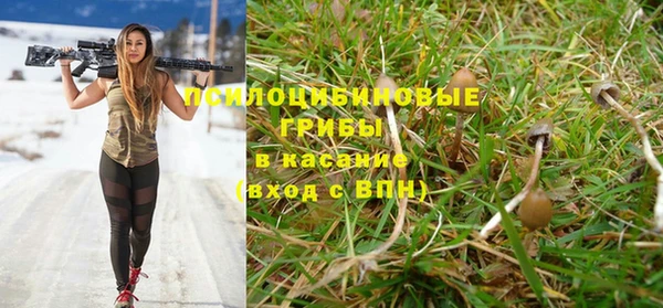 крисы Богородицк