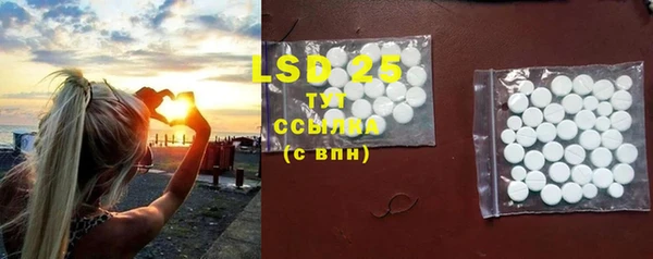 крисы Богородицк