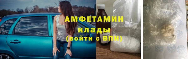 крисы Богородицк