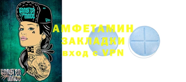 крисы Богородицк