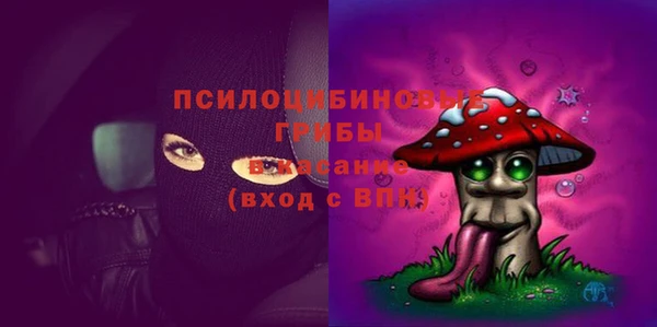 мескалин Богданович