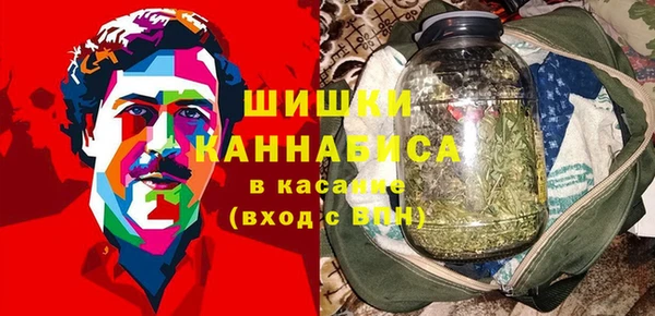 крисы Богородицк