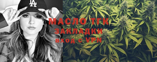 крисы Богородицк