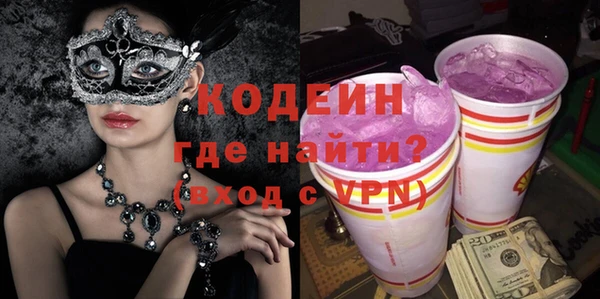 крисы Богородицк