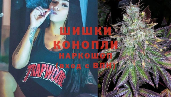 крисы Богородицк