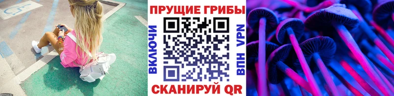 купить наркоту  Красноармейск  Галлюциногенные грибы GOLDEN TEACHER 
